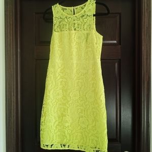 J.Crew Lace Shift Dress Size 6